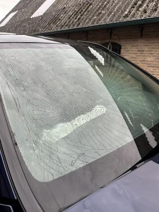 Mercedes C-klasse estate 350 e picture 29