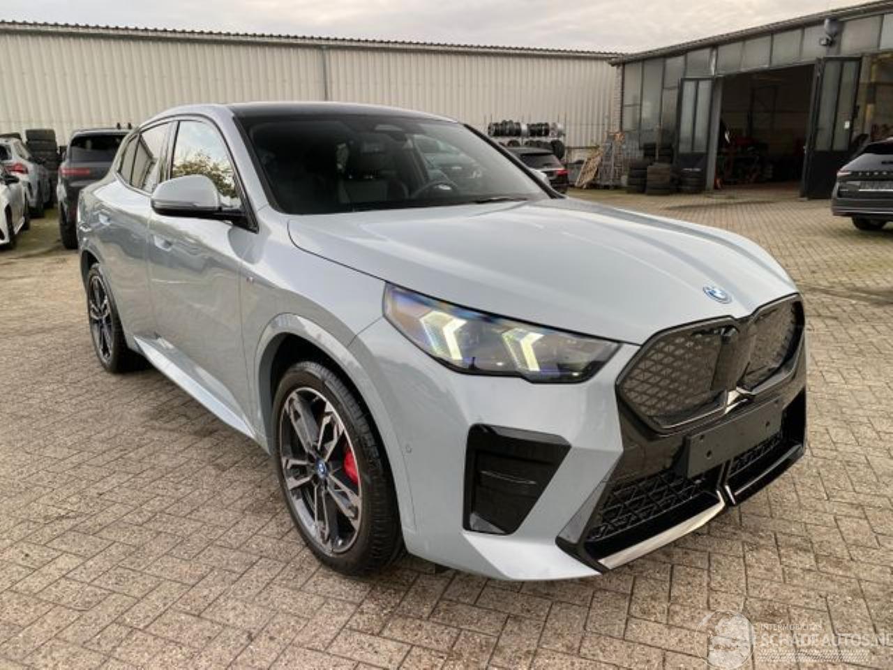 BMW iX2 eDrive20 M Sport *PANO - AHK - KAM - NAVI*