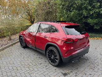 Mercedes GLA Mercedes-Benz GLA 250 e Panoramadach Camera Ambiance VOL! picture 11