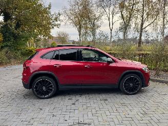 Mercedes GLA Mercedes-Benz GLA 250 e Panoramadach Camera Ambiance VOL! picture 8