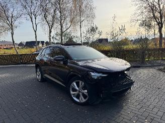 Coche accidentado Audi Q4 Audi Q4 E-tron 40e S-Line Panorama Camera LED VOL 2022/10