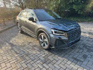 Audi Q2 Audi Q2 35 TFSI S line PANO CAMERA AHK Ambiance 2025 picture 24