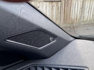 Volkswagen Polo 2.0 TSI GTI  AUTOMAAT PANORAMA picture 25