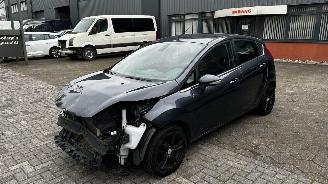 Schadeauto Ford Fiesta 1.25 Trend 2010/11