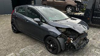 Ford Fiesta 1.25 Trend picture 8