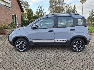 Fiat Panda 1.0 hybrid  cross   52kw picture 1