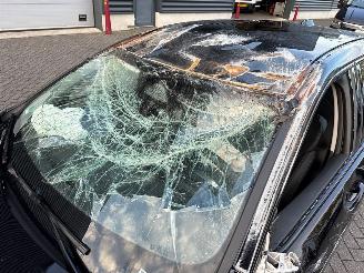 BMW 1-serie 123 xDrive 2.0 TwinPower Turbo 12V Hatchback  Elektrisch Benzine 1.998cc 160kW (218pk) picture 20