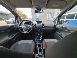 Ford EcoSport 1.0 EcoBoost Titanium picture 17