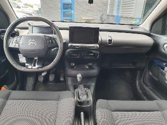 Citroën C4 cactus 1.6 BlueHDi Business picture 16