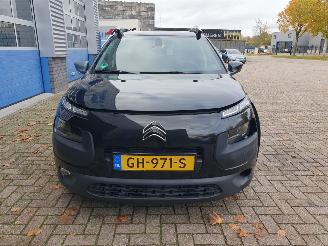 Citroën C4 cactus 1.6 BlueHDi Business picture 8