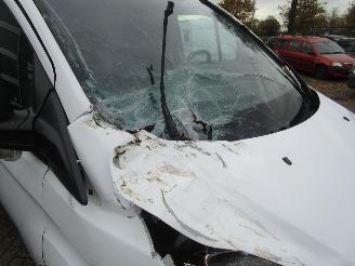 Ford Transit Custom 290 2.0 TDCI L2H1 Economy Edition picture 19