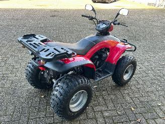 Quads  Eton Yukon 150cc Utility picture 5