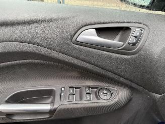 Ford C-Max 1.0 Titanium  MPV 5-dr. picture 18
