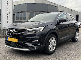 dommages motocyclettes  Opel Grandland X 1.2 Turbo Business Executive 2020/1