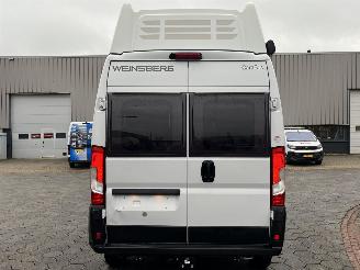 Weinsberg  2.2 Carabus 600 MQH picture 28