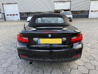 BMW 2-serie Cabrio 220i Centennial High Executive picture 5