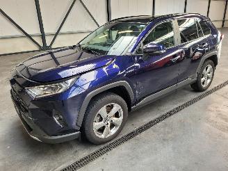 krockskadad bil bedrijf Toyota Rav-4 Hybrid 2.5 131-KW Automaat 2-WD Panoramadak 2019/1