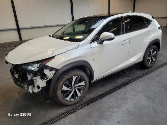 Lexus NX 300h Hybrid 2.5 145-KW Automaat AWD Panoramadak picture 1