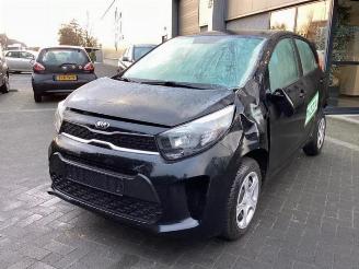 Kia Picanto Picanto (JA), Hatchback, 2017 1.0 DPI 12V picture 1