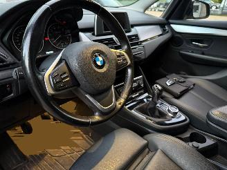 BMW 2-serie Gran Tourer 218i High Executive Pano Leder picture 10