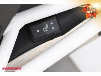 Triumph Tiger 900 Rally Pro ABS SHZ Heizgriffe Cruise picture 22