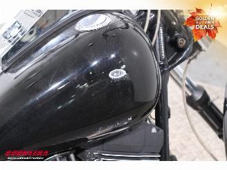 Harley-Davidson  FXSTBI Night Train Custom picture 15