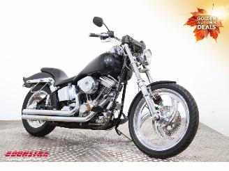 Harley-Davidson  FLSTF Fat Boy picture 2