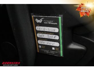 Renault Mégane 1.3 TCe Bose Navi Clima Cruise Camera SHZ PDC AHK picture 32