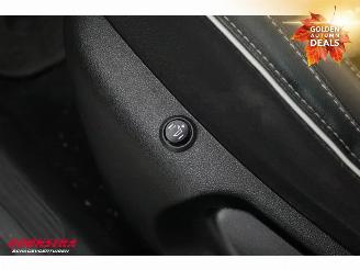 Renault Mégane 1.3 TCe Bose Navi Clima Cruise Camera SHZ PDC AHK picture 28