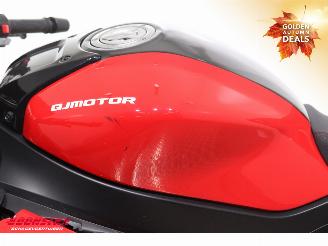 SRK 800 RR ABS LED Bluetooth picture 19