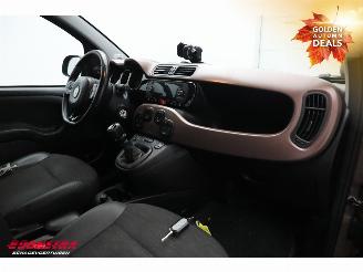 Fiat Panda 1.2 Cross Trussardi Bluetooth Clima PDC picture 19