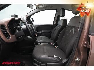Fiat Panda 1.2 Cross Trussardi Bluetooth Clima PDC picture 22