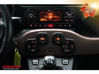 Fiat Panda 1.2 Cross Trussardi Bluetooth Clima PDC picture 21
