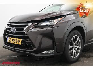 Lexus NX 300h AWD Luxury Line LED Navi Camera Leder Clima SHZ picture 11