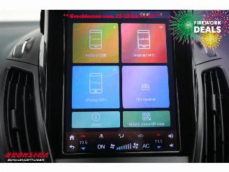 Ford C-Max 1.6 TDCi Lease Titanium Navi Clima Cruise PDC picture 20