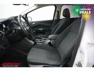 Ford C-Max 1.6 TDCi Lease Titanium Navi Clima Cruise PDC picture 11