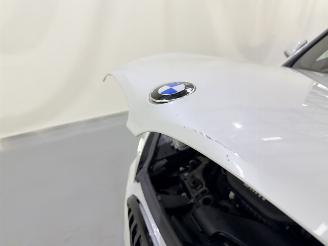 BMW X1 25e PHEV M Sport xDrive Aut picture 24