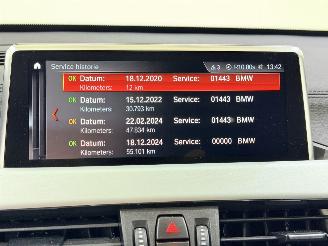 BMW X1 25e PHEV M Sport xDrive Aut picture 38