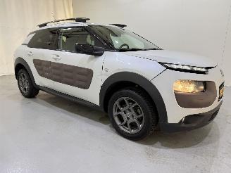 Citroën C4 cactus 1.2 PureTech 82 Shine Automaat picture 38