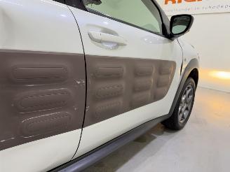 Citroën C4 cactus 1.2 PureTech 82 Shine Automaat picture 8
