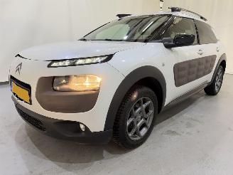 Citroën C4 cactus 1.2 PureTech 82 Shine Automaat picture 3