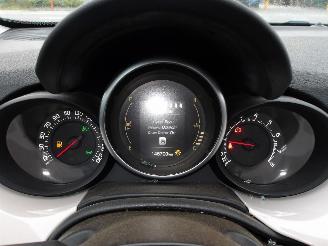 Fiat 500X  picture 23