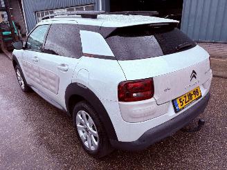 Citroën C4 Cactus 1.2 AUTOMAAT e-VTi Shine BJ 2015 192.217 km picture 3