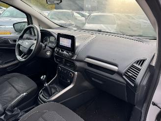 Ford EcoSport 1.0 EcoBoost Trend Ultimate BJ 2019 58.200 KM picture 14