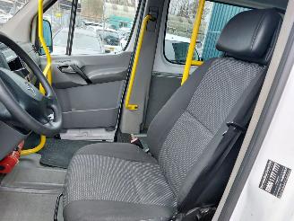 Mercedes Sprinter Sprinter 3,5t (906.73) Bus 311 CDI 16V picture 12