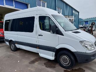 Mercedes Sprinter Sprinter 3,5t (906.73) Bus 311 CDI 16V picture 3