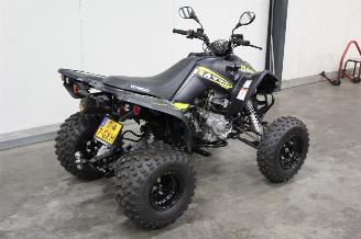 Kymco  Maxxer 300 Quad picture 2