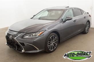 Lexus ES 300 Hybrid 33.094 km Carpas Clima Navi Leder Camera picture 1