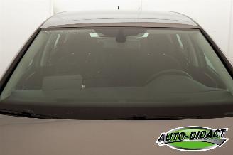 Volkswagen Golf 1.6 TDI Clima Navi picture 33