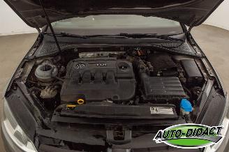 Volkswagen Golf 1.6 TDI Clima Navi picture 36